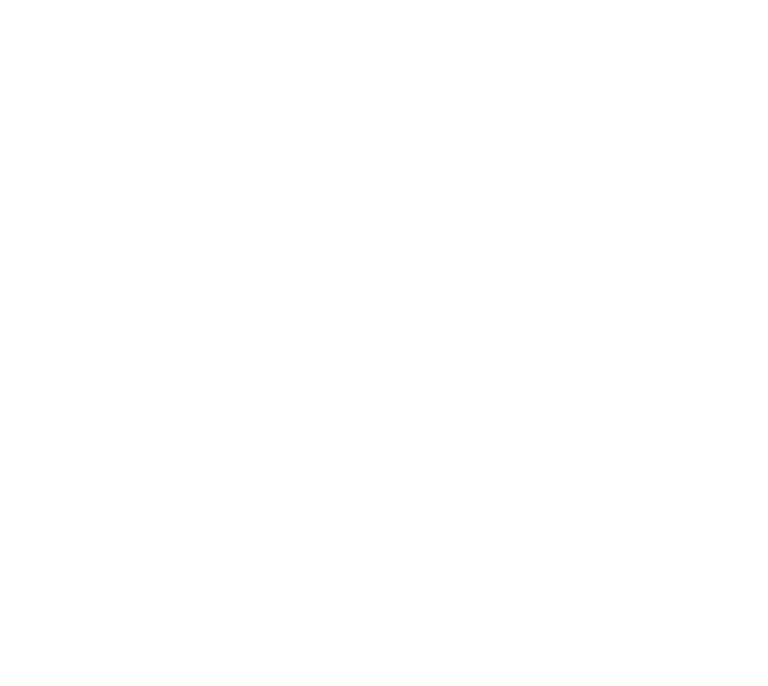DifferentShores logo White